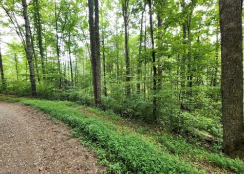 2A Poplar Cove Suches GA 30572