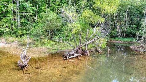 2.885 Ac Us Hwy 76 W Hiawassee GA 30546