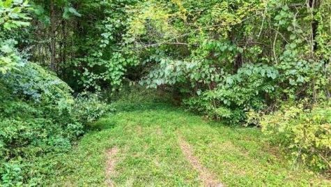2.885 Ac Us Hwy 76 W Hiawassee GA 30546