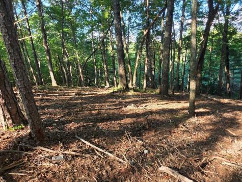 124R Red Oak Trail East Ellijay GA 30540