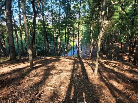 124R Red Oak Trail East Ellijay GA 30540