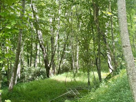 Lot 7 Wild Laurel Brasstown NC 28902