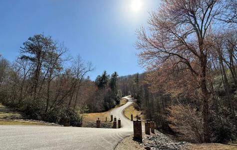 Lot 7 Wild Laurel Brasstown NC 28902