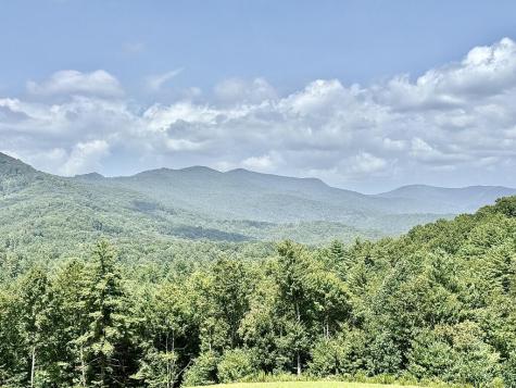Lot 7 Wild Laurel Brasstown NC 28902