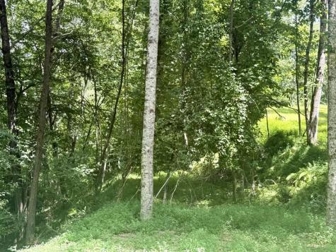 Lot 7 Wild Laurel Brasstown NC 28902