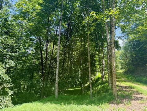 Lot 7 Wild Laurel Brasstown NC 28902
