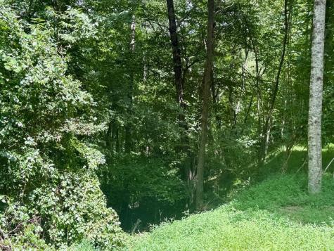 Lot 7 Wild Laurel Brasstown NC 28902