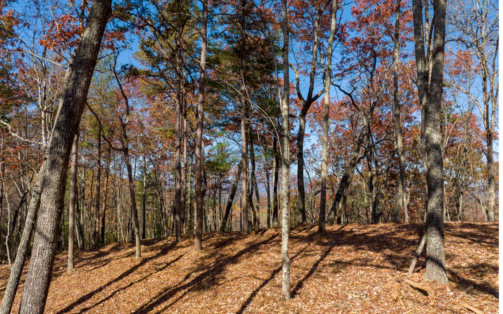 Lot 39 Preserve Trail Ellijay GA 30536