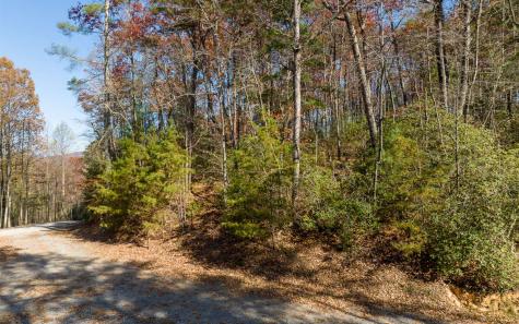 Lot 39 Preserve Trail Ellijay GA 30536