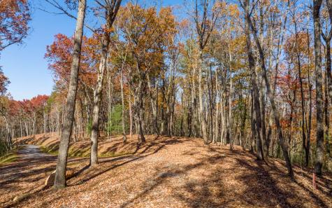 Lot 39 Preserve Trail Ellijay GA 30536
