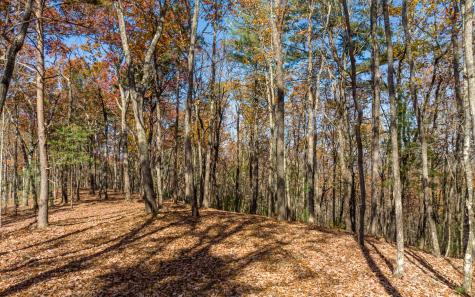 Lot 39 Preserve Trail Ellijay GA 30536