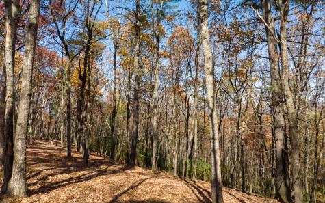 Lot 39 Preserve Trail Ellijay GA 30536