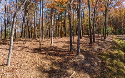 Lot 39 Preserve Trail Ellijay GA 30536