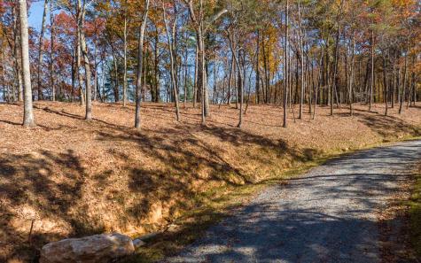 Lot 39 Preserve Trail Ellijay GA 30536
