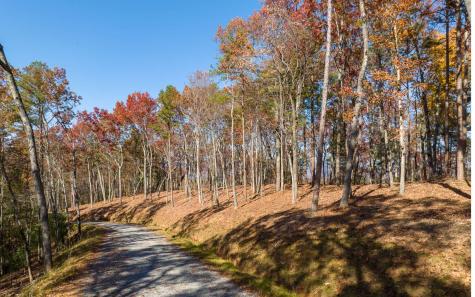 Lot 39 Preserve Trail Ellijay GA 30536