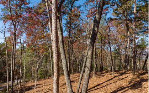 Lot 39 Preserve Trail Ellijay GA 30536