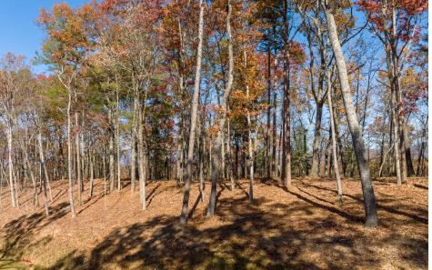 Lot 39 Preserve Trail Ellijay GA 30536