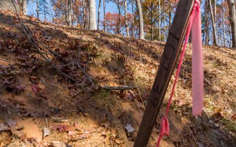 Lot 39 Preserve Trail Ellijay GA 30536