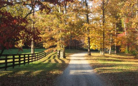 Lot 39 Preserve Trail Ellijay GA 30536