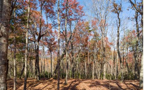 Lot 39 Preserve Trail Ellijay GA 30536