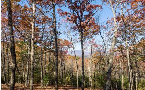 Lot 39 Preserve Trail Ellijay GA 30536