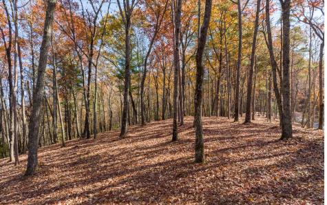 Lot 39 Preserve Trail Ellijay GA 30536