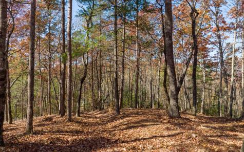 Lot 39 Preserve Trail Ellijay GA 30536