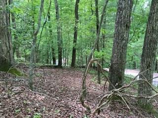 Lot 1667 Fugue Drive Ellijay GA 30540