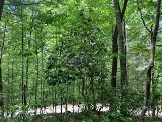 Lot 1667 Fugue Drive Ellijay GA 30540