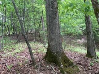 Lot 1667 Fugue Drive Ellijay GA 30540