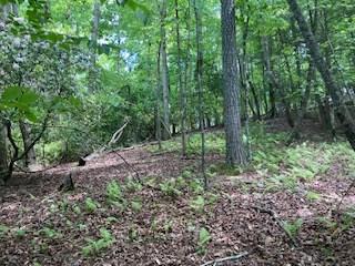 Lot 1667 Fugue Drive Ellijay GA 30540
