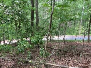 Lot 1667 Fugue Drive Ellijay GA 30540