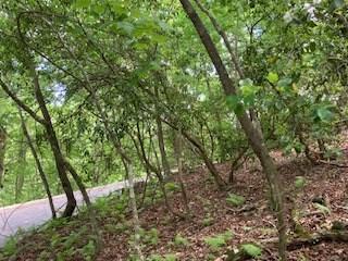 Lot 1667 Fugue Drive Ellijay GA 30540