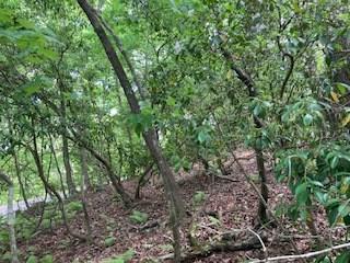 Lot 1667 Fugue Drive Ellijay GA 30540