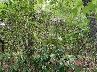 Lot 1667 Fugue Drive Ellijay GA 30540