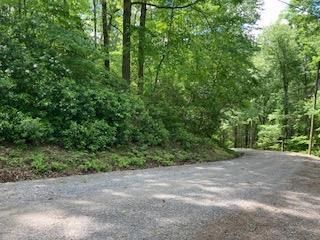 Lot 1667 Fugue Drive Ellijay GA 30540