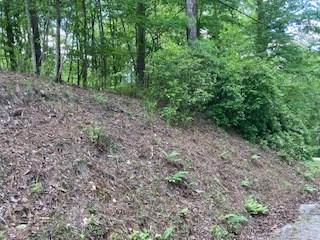 Lot 1667 Fugue Drive Ellijay GA 30540