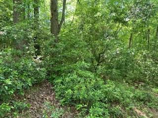 Lot 1667 Fugue Drive Ellijay GA 30540