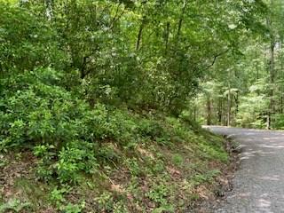 Lot 1667 Fugue Drive Ellijay GA 30540