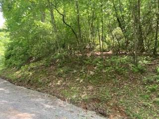 Lot 1667 Fugue Drive Ellijay GA 30540