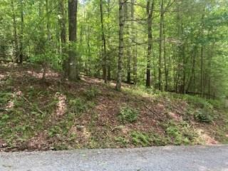 Lot 1667 Fugue Drive Ellijay GA 30540
