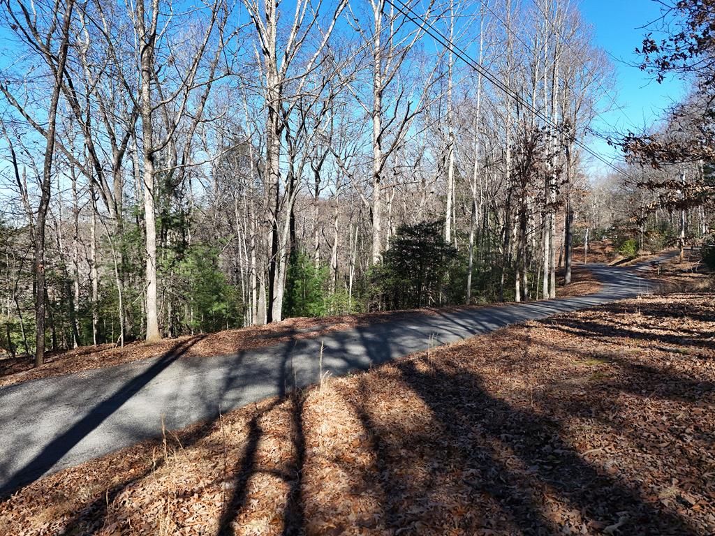Lot 34 Honeysuckle Drive Blairsville GA 30512