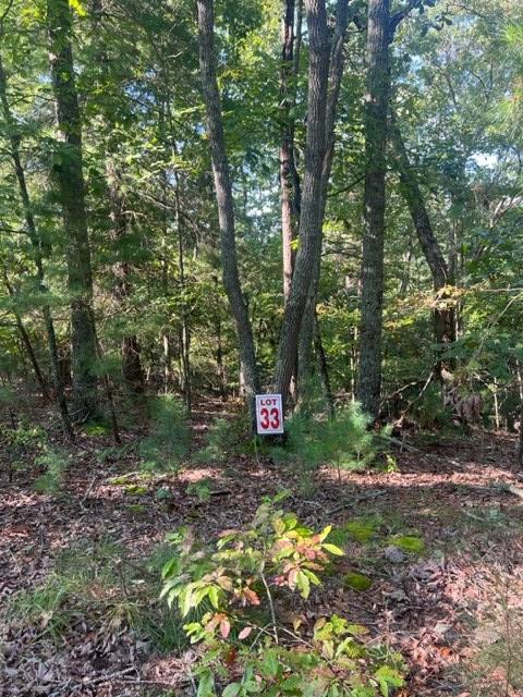 Lt 33 Buck Creek Road Ellijay GA 30540