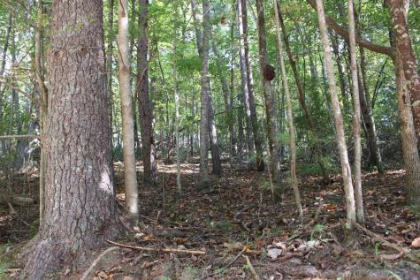 Lot 546 North Satsuma Court Ellijay GA 30540