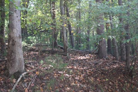 Lot 546 North Satsuma Court Ellijay GA 30540