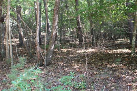 Lot 546 North Satsuma Court Ellijay GA 30540