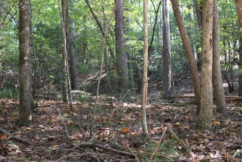 Lot 546 North Satsuma Court Ellijay GA 30540