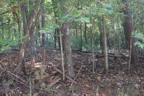 Lot 546 North Satsuma Court Ellijay GA 30540