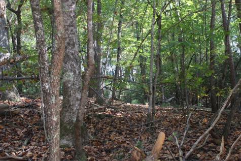 Lot 546 North Satsuma Court Ellijay GA 30540