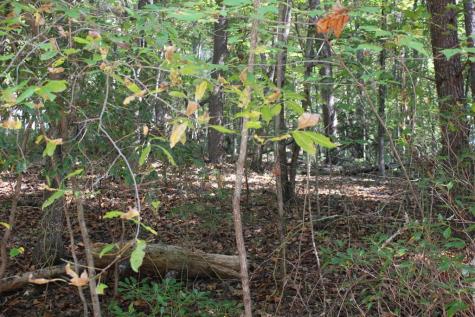 Lot 546 North Satsuma Court Ellijay GA 30540